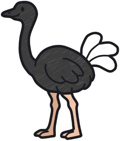 A coloured-in ostrich from the game.