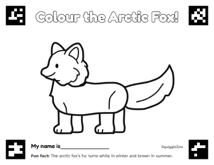 The arctic fox colouring sheet.