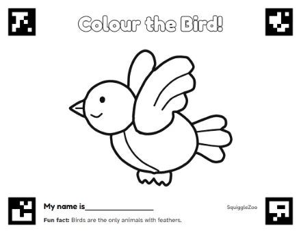 The bird colouring sheet.