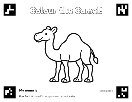 The camel colouring sheet.