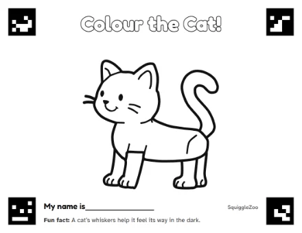 The cat colouring sheet.