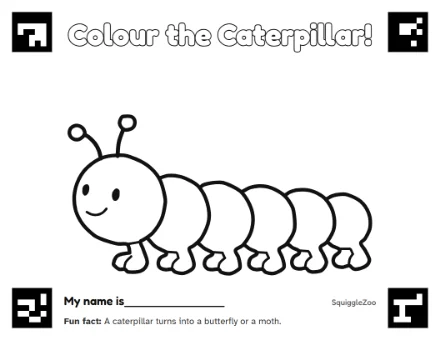 The caterpillar colouring sheet.
