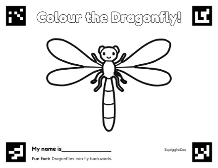 The dragonfly colouring sheet.