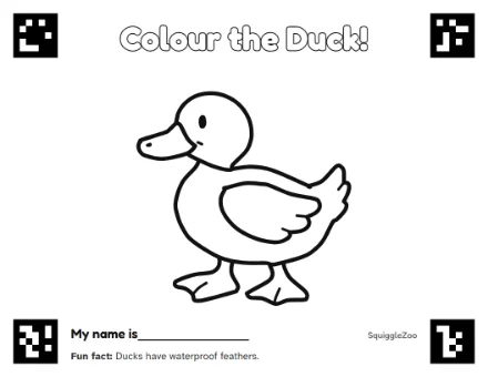 The duck colouring sheet.