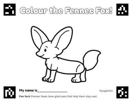 The fennec fox colouring sheet.