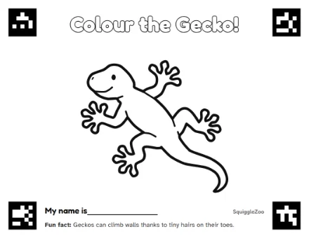 The gecko colouring sheet.