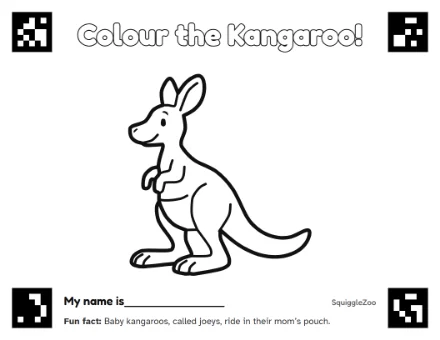 The kangaroo colouring sheet.
