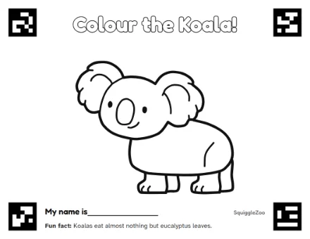 The koala colouring sheet.