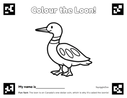 The loon colouring sheet.