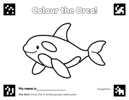 The orca colouring sheet.