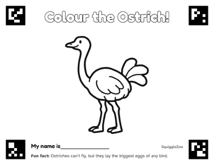 The ostrich colouring sheet.