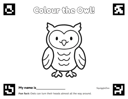 The owl colouring sheet.