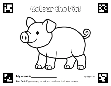The pig colouring sheet.