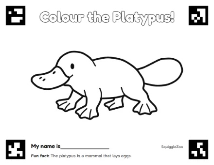 The platypus colouring sheet.