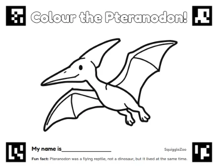 The pteranodon colouring sheet.
