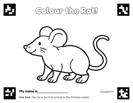 The rat colouring sheet.