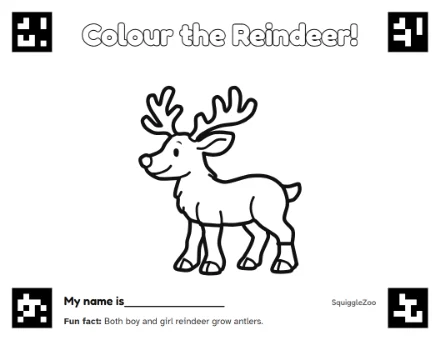 The reindeer colouring sheet.