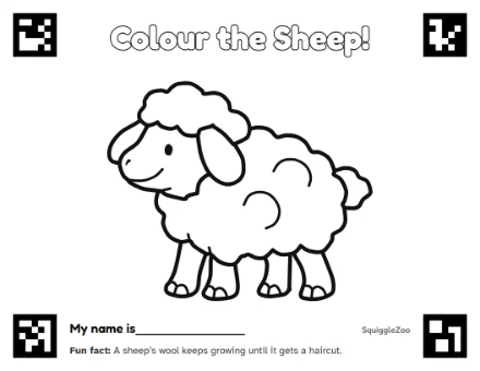 The sheep colouring sheet.