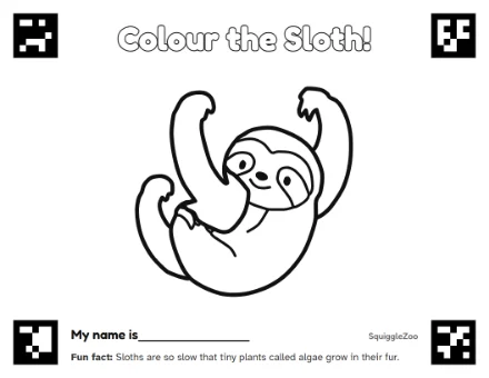 The sloth colouring sheet.