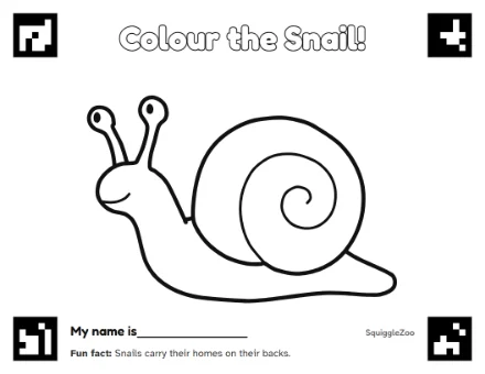 The snail colouring sheet.