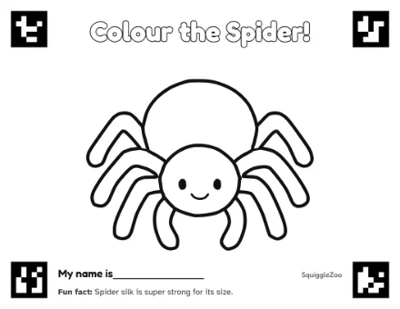 The spider colouring sheet.