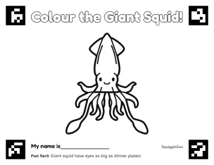 The giant squid colouring sheet.