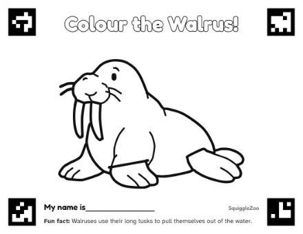 The walrus colouring sheet.